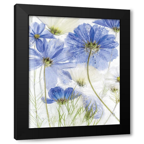 Frozen In Time II Black Modern Wood Framed Art Print by Disher, Mandy