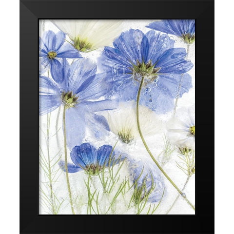 Frozen In Time II Black Modern Wood Framed Art Print by Disher, Mandy