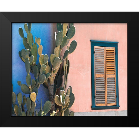 Cactus Profile Black Modern Wood Framed Art Print by Delimont, Danita