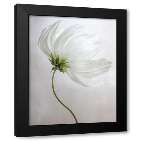 Etherial Black Modern Wood Framed Art Print by Disher, Mandy