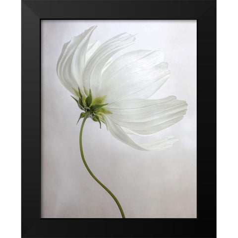 Etherial Black Modern Wood Framed Art Print by Disher, Mandy