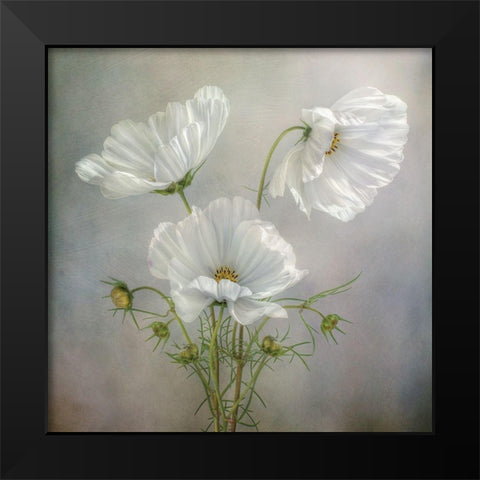 Still Life II Black Modern Wood Framed Art Print by Disher, Mandy