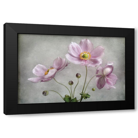 Textured Floral Black Modern Wood Framed Art Print with Double Matting by Disher, Mandy
