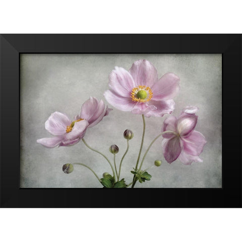 Textured Floral Black Modern Wood Framed Art Print by Disher, Mandy