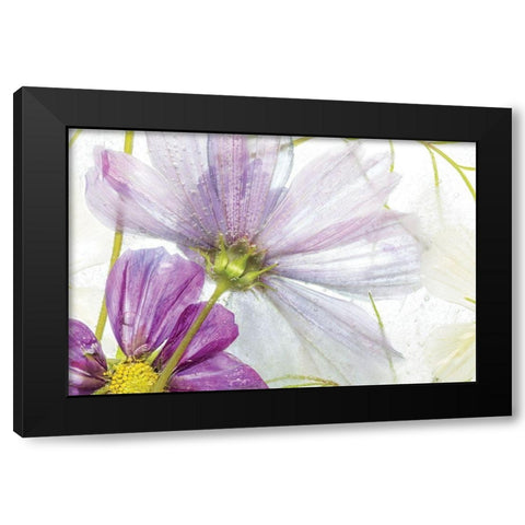 Frozen Floral I Black Modern Wood Framed Art Print by Disher, Mandy