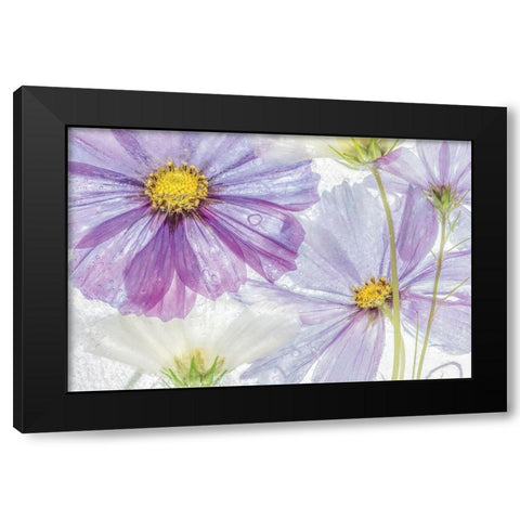 Frozen Floral II Black Modern Wood Framed Art Print by Disher, Mandy