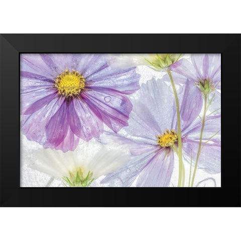 Frozen Floral II Black Modern Wood Framed Art Print by Disher, Mandy