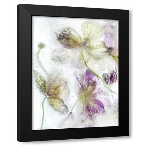 Frozen Floral IV Black Modern Wood Framed Art Print by Disher, Mandy