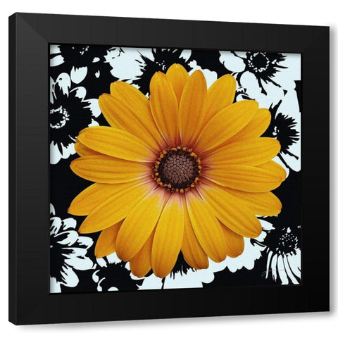 Black and Bloom Black Modern Wood Framed Art Print by Burghardt, James