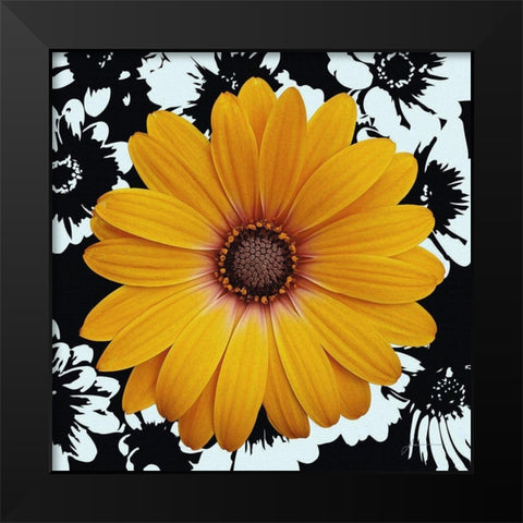Black and Bloom Black Modern Wood Framed Art Print by Burghardt, James