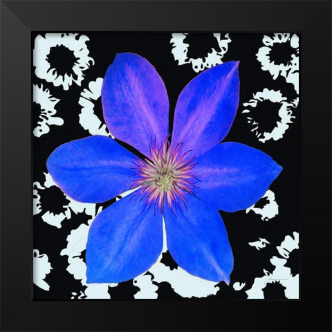 Black and Bloom Black Modern Wood Framed Art Print by Burghardt, James