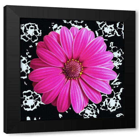 Black and Bloom Black Modern Wood Framed Art Print with Double Matting by Burghardt, James