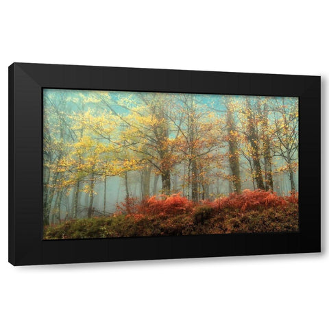 Beeches In Black Modern Wood Framed Art Print with Double Matting by Van de Goor, Lars