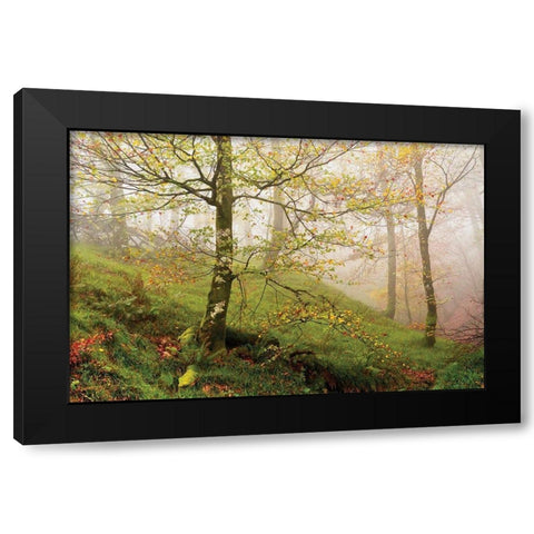 Spring Or Black Modern Wood Framed Art Print with Double Matting by Van de Goor, Lars