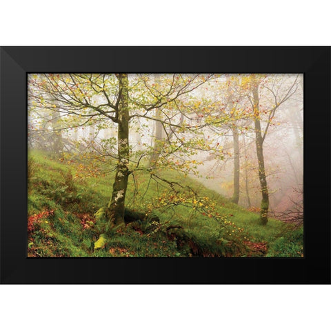 Spring Or Black Modern Wood Framed Art Print by Van de Goor, Lars