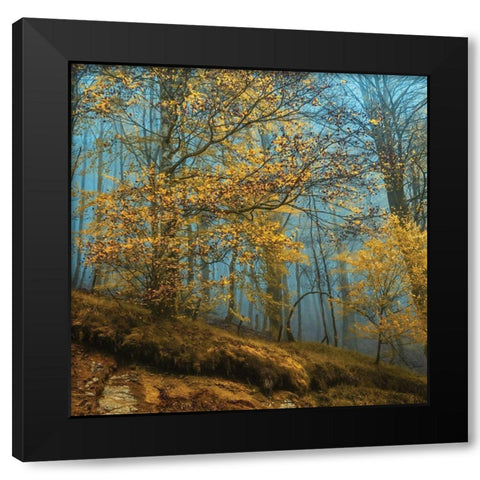 Playing The Black Modern Wood Framed Art Print with Double Matting by Van de Goor, Lars