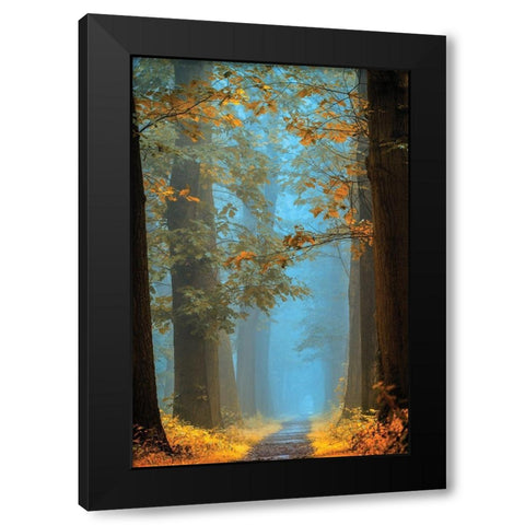 Orange Blue Black Modern Wood Framed Art Print with Double Matting by Van de Goor, Lars