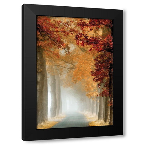 Wonder Curve Black Modern Wood Framed Art Print with Double Matting by Van de Goor, Lars