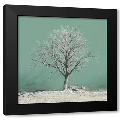 Wet Feet Black Modern Wood Framed Art Print by Van de Goor, Lars