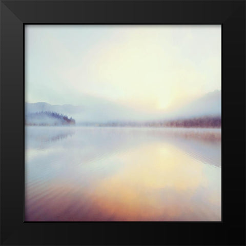 Sunrise Over Beaver Black Modern Wood Framed Art Print by Delimont, Danita