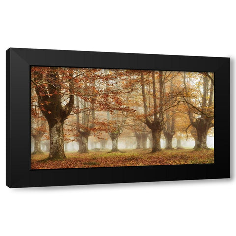 Misty Pan Black Modern Wood Framed Art Print with Double Matting by Van de Goor, Lars