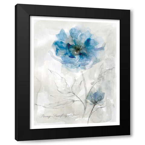 Blue Peony Black Modern Wood Framed Art Print with Double Matting by Robinson, Carol