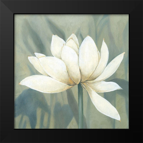 Waterlily II Black Modern Wood Framed Art Print by Robinson, Carol