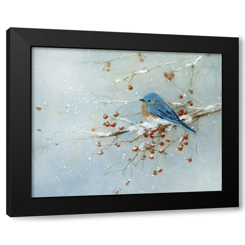 Blue Bird in Winter Black Modern Wood Framed Art Print with Double Matting by Swatland, Sally