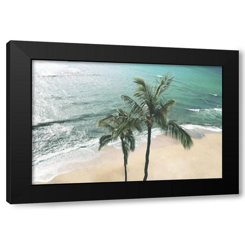 Maui Palm Black Modern Wood Framed Art Print with Double Matting by Carpentieri, Natalie