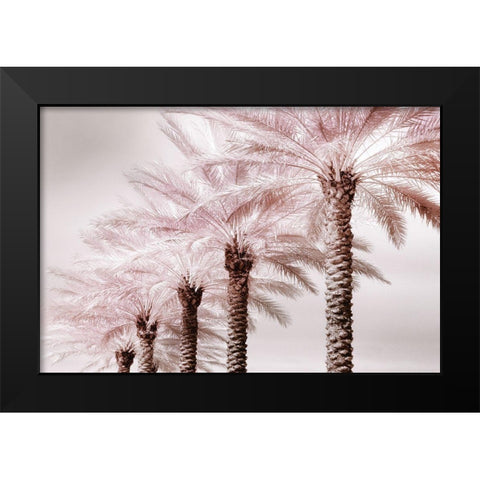 Stately Palms Black Modern Wood Framed Art Print by Delimont, Danita