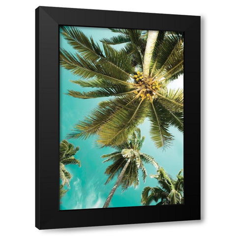 Palms Up Black Modern Wood Framed Art Print with Double Matting by Delimont, Danita