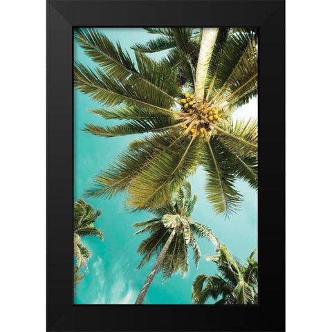 Palms Up Black Modern Wood Framed Art Print by Delimont, Danita