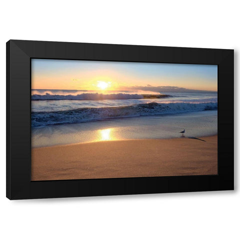 Sunset Black Modern Wood Framed Art Print with Double Matting by Carpentieri, Natalie