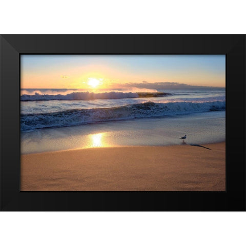 Sunset Black Modern Wood Framed Art Print by Carpentieri, Natalie