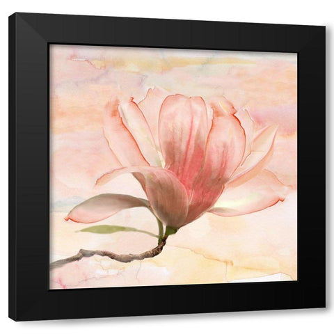 Dreamy Magnolia I Black Modern Wood Framed Art Print with Double Matting by Nan