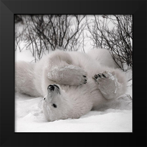 Hudson Bay Black Modern Wood Framed Art Print by Delimont, Danita