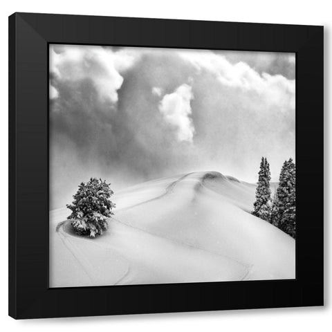 Fresh Powder Black Modern Wood Framed Art Print with Double Matting by Delimont, Danita