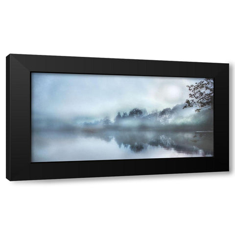 Morning Wonders Black Modern Wood Framed Art Print by Weisz, Irene