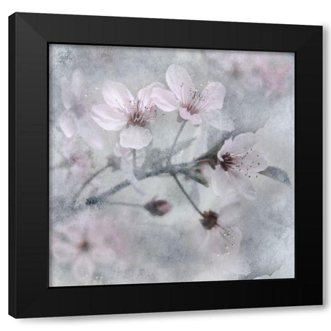 Spring Black Modern Wood Framed Art Print by Weisz, Irene