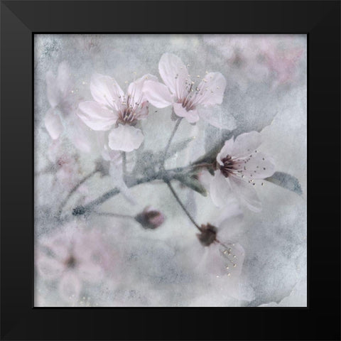 Spring Black Modern Wood Framed Art Print by Weisz, Irene
