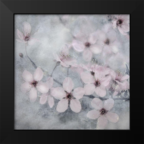Spring Melody II Black Modern Wood Framed Art Print by Weisz, Irene