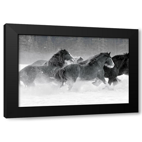 Winter Roundup I Black Modern Wood Framed Art Print with Double Matting by Delimont, Danita