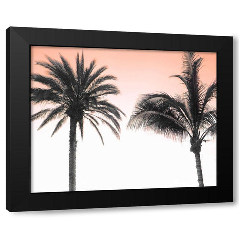 Double Dutch Black Modern Wood Framed Art Print with Double Matting by Delimont, Danita