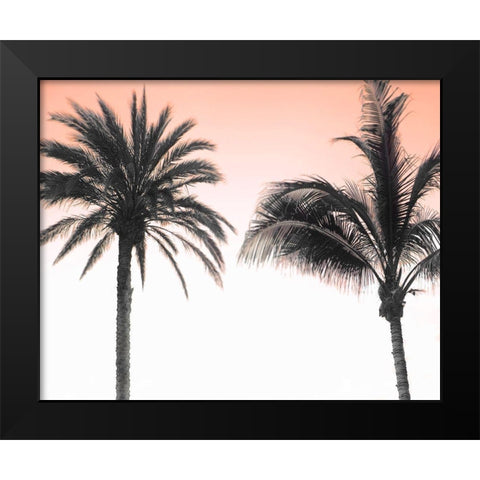 Double Dutch Black Modern Wood Framed Art Print by Delimont, Danita