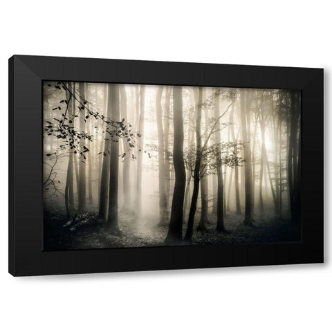 Light is Always Black Modern Wood Framed Art Print with Double Matting by Weisz, Irene