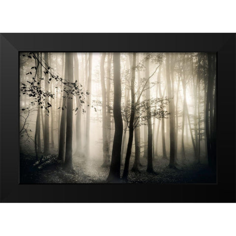 Light is Always Black Modern Wood Framed Art Print by Weisz, Irene