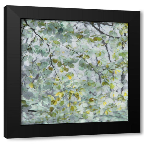 Dancing Leaves Black Modern Wood Framed Art Print by Weisz, Irene