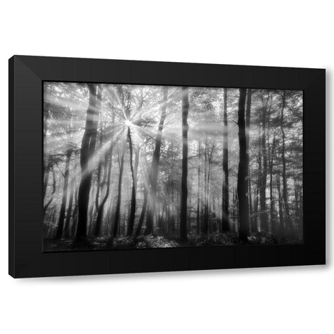 Breaking Through Black Modern Wood Framed Art Print by Weisz, Irene