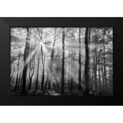 Breaking Through Black Modern Wood Framed Art Print by Weisz, Irene