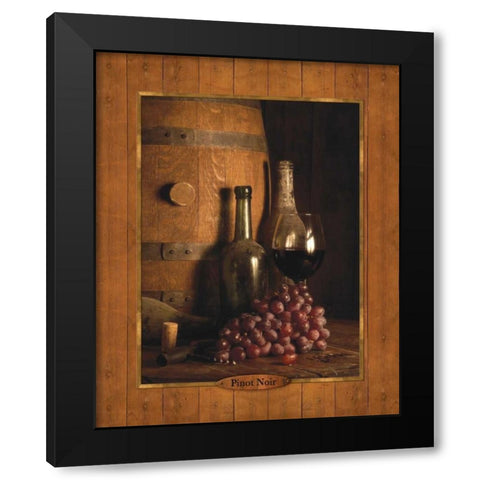 Vineyard Tour I Black Modern Wood Framed Art Print with Double Matting by Dancause, Alain